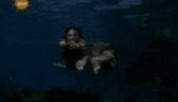 1111.gif